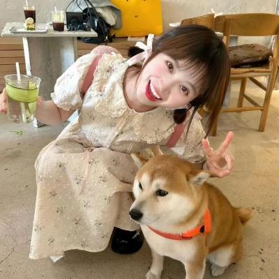 青春的忏悔